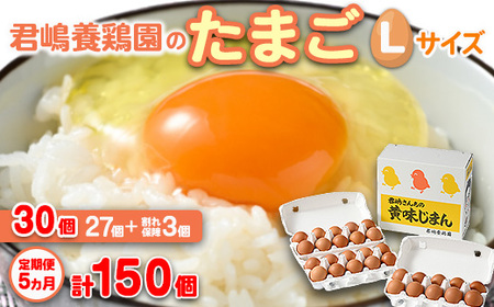 �y5��������ցz�N���{�{���̂��܂� L�T�C�Y 30�i27�{����⏞3�j×5���� �v150�� | ����� 5���� 5���� 5���� �� �ʎq ���܂� �ԗ� �Ԃ��܂� ���� ���Y �Z�� �{�� �R�N �|��