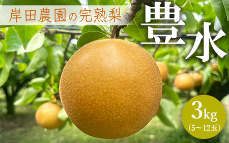 [先行予約]岸田農園の完熟梨 豊水[3kg,5-12玉入り] | 梨 なし 果物 フルーツ 完熟 ジューシー 秋 旬 産地直送 期間限定 季節限定 季節商品 送料無料 国産 栃木県 芳賀町 ※2025年9月上旬〜9月中旬頃に順次発送予定