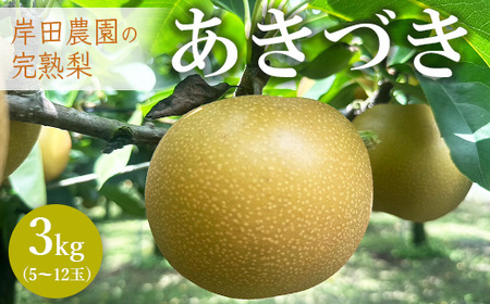 [先行予約]岸田農園の完熟梨 あきづき[3kg,5-12玉入り] 