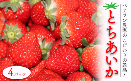 ベテラン農家のこだわりの逸品!とちあいか 4パック|いちご イチゴ 苺 フルーツ 果物 産地直送 期間限定 季節限定 栃木県 芳賀町 ※2025年12月中旬〜2026年3月下旬頃に順次発送予定