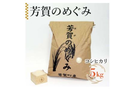 令和6年産「芳賀のめぐみ」コシヒカリ 5kg 袋入り 栃木県芳賀町産 | 米 お米 ご飯 国産 送料無料 ※離島への配送不可