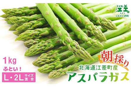 [夏芽 予約受付 6月中旬〜順次出荷]2025年 北海道江差町産 アスパラガス[L〜2Lサイズ] 1kg 約20本 太い! 甘い! ジューシー! 朝採り 農家直送 新鮮 鮮度保持 北海道 旬野菜 グリーンアスパラ アスパラ ギフト 贈答