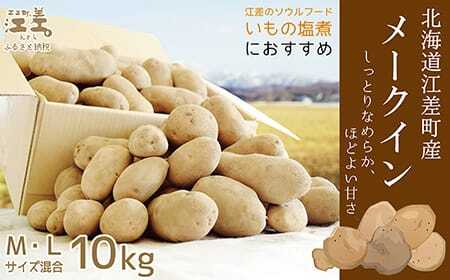 [9月頃〜順次出荷]北海道江差産 メークイン 10kg M・L混合 しっとり甘い江差産 秋の収穫 北海道のじゃがいも いもの塩煮 いかの塩辛と一緒にどうぞ じゃがバター