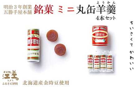 五勝手屋本舗『ミニ丸缶羊羹（ようかん）』4本セット　金時豆のようかん　保存料不使用　五勝手屋羊羹の老舗　和菓子　銘菓　名物　贈答用　ギフト
