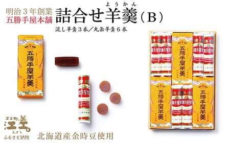 五勝手屋本舗『詰合せ羊羹』(B)流し羊羹3本/丸缶羊羹6本 金時豆のようかん 保存料不使用 五勝手屋羊羹の老舗 和菓子 銘菓 名物 贈答用 ギフト お中元 お歳暮 お祝い のし 熨斗