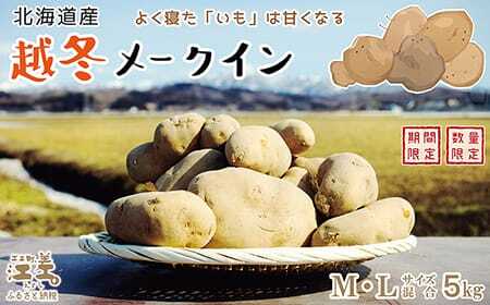 [早期予約 2026年2月より順次出荷]北海道産 越冬メークイン M・L混合 5kg 低温熟成 糖度アップ 訳あり 農家直送 越冬じゃがいも 越冬いも よく寝たいも 甘い 芋の塩煮にぴったり じゃがバター いかの塩辛と一緒にどうぞ