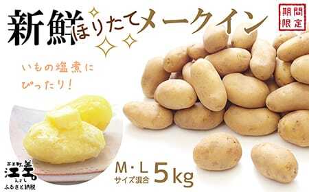 [8月頃〜順次出荷予定]新鮮!ほりたて!「江差産メークイン5kg M・L混合」しっとりほくほく 甘い 北海道のメークイン 北海道産じゃがいも じゃがバター 肉じゃが カレー シチュー いもの塩煮