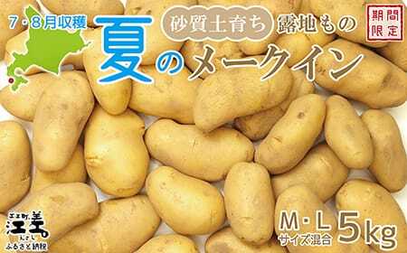 [7月頃〜順次出荷]砂質土育ち「夏」メークイン M・L混合5kg 露地もの 手掘り 江差産メークイン 北海道のじゃがいも 芋の塩煮 肉じゃが カレー シチュー コロッケ 色々なお料理に 北海道産