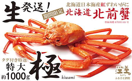 ＼10尾限定!早期予約・2026年3〜4月限定出荷/生発送![特大[極]]『北海道北前蟹』タグ付き特選 約1kg(冷蔵) 年にひと月だけの期間限定「生」出荷 北海道日本海産紅ずわいがに カニかご漁師直販 厳格な鮮度管理 新鮮 甘くてジューシー 活カニ 蟹 かに刺し 焼き 蒸し みそ しゃぶ 鍋 国産ベニズワイ