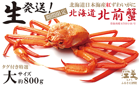 ＼早期予約・2026年3〜4月限定出荷/生発送![大]『北海道北前蟹』タグ付き特選 約800g(冷蔵) 年にひと月だけの期間限定「生」出荷 北海道日本海産紅ずわいがに カニかご漁師直販 厳格な鮮度管理 新鮮 甘くてジューシー 活カニ 蟹 かに刺し 焼き 蒸し みそ しゃぶ 鍋 国産ベニズワイ