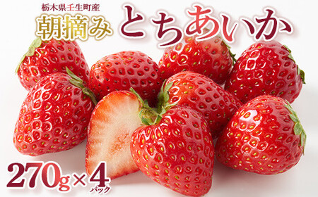 ystzƂ 270g×4pbN b   C`S ʕ t[c lC ʌ JNe [Og X[W[ { Ȗ، p 2026N1{`3{ɏ\