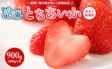 [訳あり]冷凍いちご とちあいか 900g(300g×3) | 生産者直送 人気の新品種 無選別訳あり 冷凍 いちご 栃木県壬生町産 果物 フルーツ 苺 イチゴ スムージー ジャム 不揃い 小分け