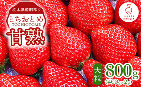 Ȗ،ŶÏnƂƂ12`18̑嗱2pbNł͂400g×2p b ƂƂ   Ȗ، ʕ t[c kCEEւ̔zs 2026N1{`4{ɏ