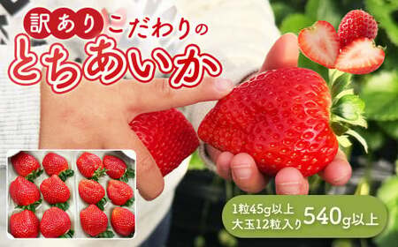 �u�󂠂�v�Ƃ�������1��45g�ȏ� ��� 12������ 540g�ȏ�b �󂠂� �Ƃ������� ������ � �Ȗ،� �ʕ� �t���[�c ���k�C���E����E�����ւ̔z���s�� ��2026�N1�����{�`3�����{���ɏ��������\��