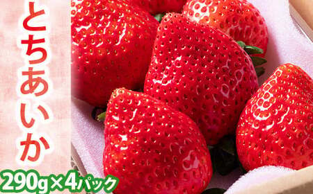  Ƃ ς 290g×4pbN | Vi튮n ʕ  C`S t[c   Ȗ، p 2025N12{`2026N3{ɏ\