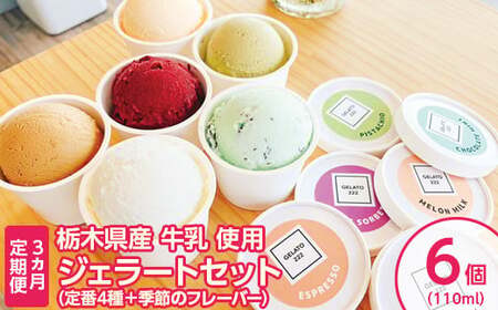 [3ヵ月定期便]栃木県産牛乳使用 ジェラートセット(定番4種+季節のフレーバー)110ml×6個 | アイス 栃木県 詰め合わせ アイスクリーム 手作り 冷凍 スイーツ デザート セット