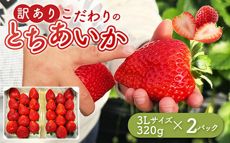 �u�󂠂�v�Ƃ������� 3L�T�C�Y 320g×2�p�b�N �b �󂠂� �Ƃ������� ������ � �Ȗ،� �ʕ� �t���[�c ���k�C���E����E�����ւ̔z���s�� ��2026�N1�����{�`3�����{���ɏ��������\��