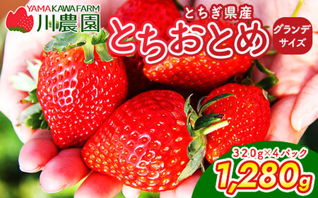 [訳あり]とちおとめ 320g×4パック 約1.2kg グランデサイズ|果物 フルーツ イチゴ 苺 グランデ 産地直送 大粒 甘い 数量限定 栃木県 壬生町 ※2027年1月〜発送
