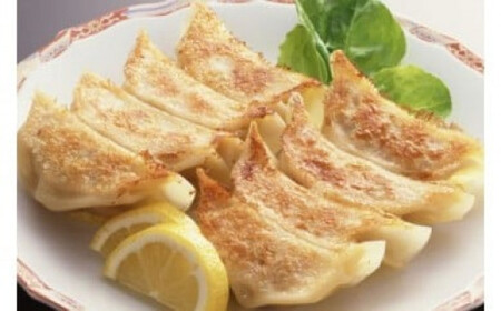 和豚もちぶた 手包み餃子 100個セット 餃子 冷凍 まとめ買い 栃木県壬生町◇