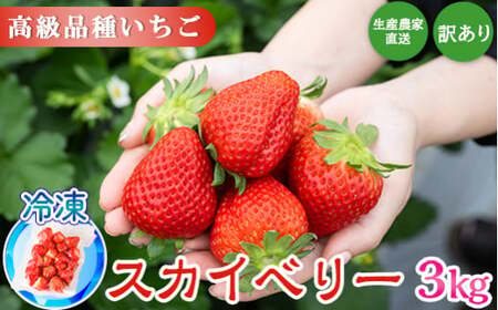 生産農家直送 高級品種☆無選別訳あり 冷凍 いちご 栃木県壬生町産スカイベリー3kg(500g×6)|果物 フルーツ 苺 フレッシュ いちご いちご いちご
