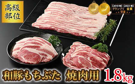 和豚もちぶた 高級部位焼き肉用 1.8kgセット (ロース・バラ・肩ロース) ◇|和豚 和豚 和豚 和豚 和豚