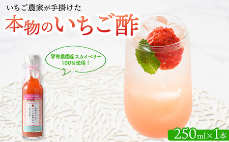 琴寄農園産スカイベリー100%使用 いちご農家が手掛けた「本物のいちご酢」 無添加 飲む果実酢 4倍希釈タイプ