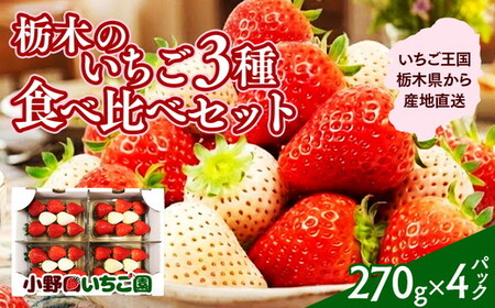 栃木のいちご 3種 食べ比べセット | とちおとめ とちあいか ミルキーベリー イチゴ 苺 栃木県 果物 フルーツ 栃木県 壬生町 産地直送 ※2026年1月上旬〜4月上旬頃に順次発送予定 ※離島への配送不可