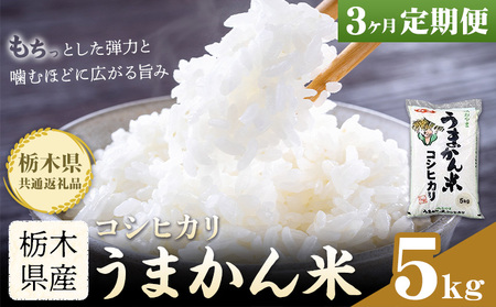 令和7年産 米 お米 コシヒカリ うまかん米 3ヶ月 定期便 5kg JAおやま [30日以内に出荷予定(土日祝除く)] 栃木県 野木町産 コメ 米 ブランド米 こしひかり[栃木県共通返礼品]