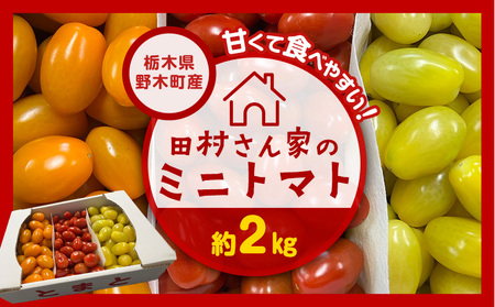田村さん家のミニトマト約2kg[栃木県野木町産]田村農園[11月上旬-7月下旬出荷]トマト ミニトマト 野菜 新鮮 リコピン ビタミン 美容