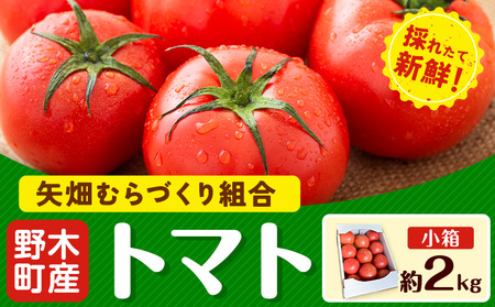 [先行予約]トマト 約2kg 小箱 栃木県 野木町産 矢畑むらづくり組合 [10月上旬-6月下旬頃出荷]栃木県 野木町 トマト 野菜 新鮮