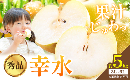 梨幸水5kg[8月上旬-8月末頃に出荷予定]梨幸水梨梨
