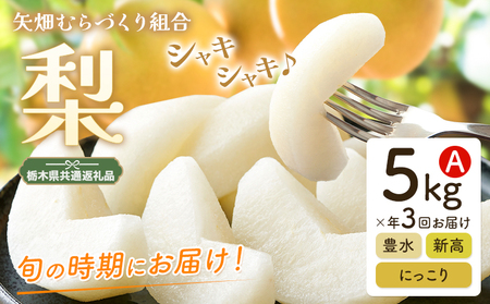 梨 定期便 5kg 計3回 矢畑むらづくり組合[8月下旬-10月中旬頃出荷]栃木県 野木町 お楽しみ フルーツ 食べ比べ 豊水梨 にっこり梨 新高梨 栃木産 果物[栃木県共通返礼品 栃木県産][配送不可地域あり](離島)