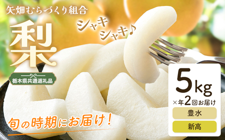 梨 定期便 5kg 計2回 矢畑むらづくり組合[9月中旬-10月中旬頃出荷]栃木県 野木町 お楽しみ フルーツ 食べ比べ 豊水梨 新高梨 栃木産 果物[栃木県共通返礼品 栃木県産][配送不可地域あり](離島)