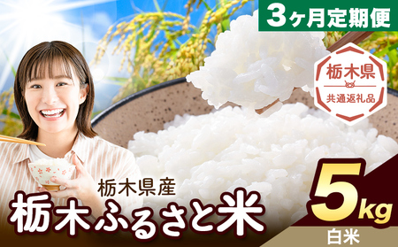 y3ցz Ȗ ӂ邳ƕ  5kgs͗Xo׊JntȖ، ؒ    Y   ٓ ɂyȖ،ʕԗiz