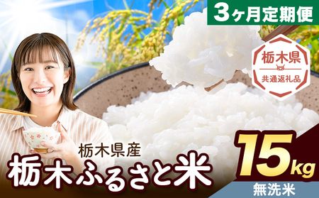 y3ցz Ȗ ӂ邳ƕ  15kg (5kg×3)s͗Xo׊JntȖ، ؒ  Y   ٓ ɂyȖ،ʕԗiz