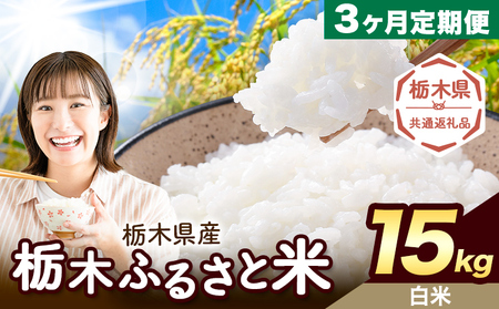 y3ցz Ȗ ӂ邳ƕ  15kg (5kg×3)s͗Xo׊JntȖ، ؒ  Y   ٓ ɂyȖ،ʕԗiz