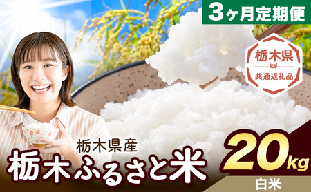 y3ցz Ȗ ӂ邳ƕ  20kg (5kg×4)s͗Xo׊JntȖ، ؒ  Y   ٓ ɂyȖ،ʕԗiz