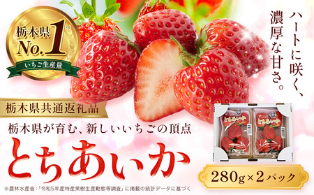 いちご とちあいか 2パック 560g [2025年12月下旬-2026年3月上旬頃出荷] JAおやま 栃木県 野木町 イチゴ 苺 果物 フルーツ ハート型 贈答用 プレゼント スイーツ ケーキ 手作り トッピング ハート[栃木県共通返礼品]