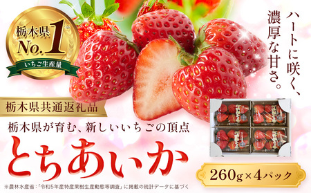 いちご とちあいか 4パック 1040g [2025年12月下旬-2026年3月上旬頃出荷] JAおやま 栃木県 野木町 イチゴ 苺 果物 フルーツ ハート型 贈答用 プレゼント スイーツ ケーキ 手作り トッピング ハート[栃木県共通返礼品]