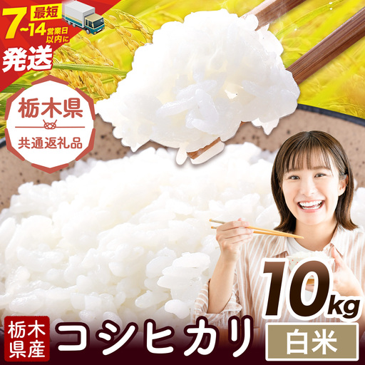 令和7年度産 米 栃木県産 コシヒカリ 白米 10kg《7-14日以内に出荷予定(土日祝除く)》栃木県 野木町 米 白米 精米 国産 お米 おこめ お弁当 おにぎり【栃木県共通返礼品】