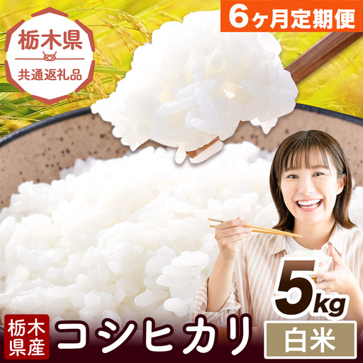 [6ヶ月定期便]令和7年度産 米 栃木県産 コシヒカリ 白米 5kg[お申込み翌月から出荷]栃木県 野木町 米 白米 精米 国産 お米 おこめ お弁当 おにぎり[栃木県共通返礼品]