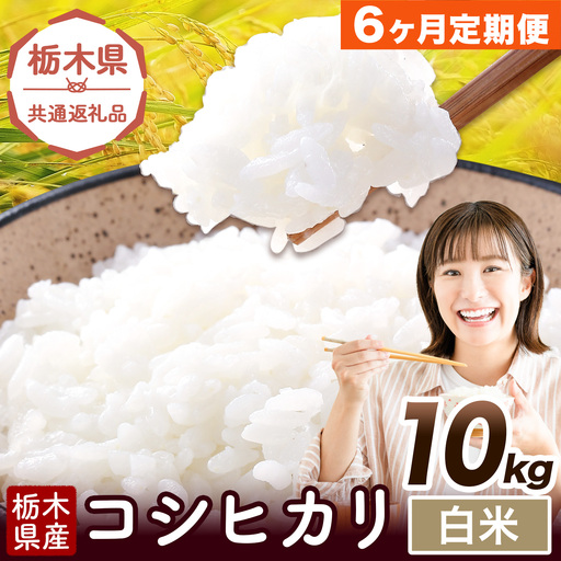 [6ヶ月定期便]米 栃木県産 コシヒカリ 白米 10kg[お申込み翌月から出荷]栃木県 野木町 米 白米 精米 国産 お米 おこめ お弁当 おにぎり[栃木県共通返礼品]