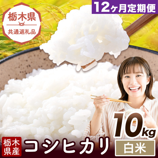 【12ヶ月定期便】米 栃木県産 コシヒカリ 白米 10kg《お申込み翌月から出荷》栃木県 野木町 米 白米 精米 国産 お米 おこめ お弁当 おにぎり【栃木県共通返礼品】