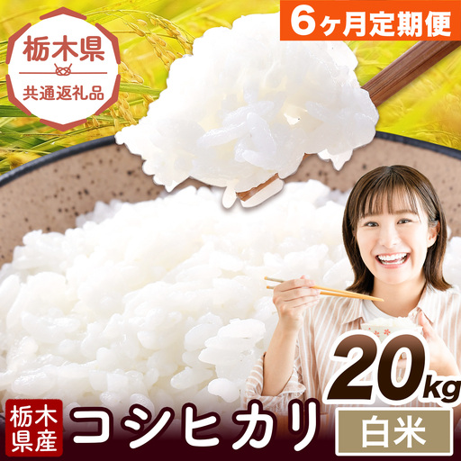  【6ヶ月定期便】令和7年度産 米 栃木県産 コシヒカリ 白米 20kg《お申込み翌月から出荷》栃木県 野木町 米 白米 精米 国産 お米 おこめ お弁当 おにぎり【栃木県共通返礼品】