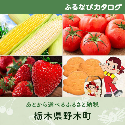 【有効期限なし！後からゆっくり特産品を選べる】栃木県野木町カタログポイント