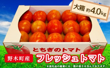 T03 栃木県野木町産トマト大箱(約4kg)