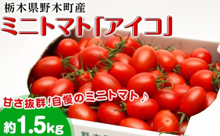 T07栃木県野木町産ミニトマト「アイコ」小箱(約1.5kg)