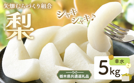 梨 幸水 5kg 先行予約矢畑むらづくり組合[7月下旬-8月下旬に出荷予定][栃木県共通返礼品 栃木県産][配送不可地域あり](離島)梨梨梨