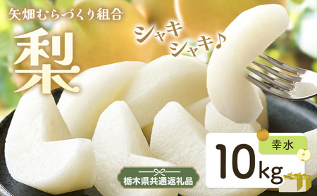 梨 幸水10kg矢畑むらづくり組合[7月下旬-8月下旬に出荷予定] [栃木県共通返礼品 栃木県産][配送不可地域あり](離島)梨梨梨
