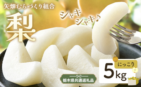 梨 にっこり梨 5kg 矢畑むらづくり組合[9月下旬-10月中旬に出荷予定] [栃木県共通返礼品 栃木県産][配送不可地域あり](離島)